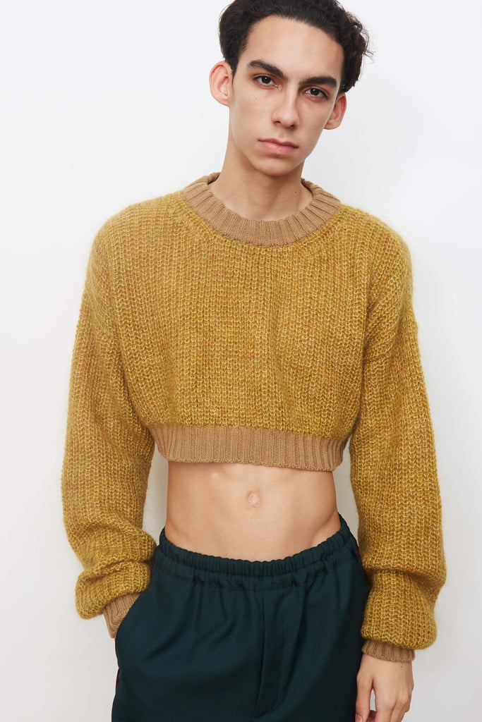 Cropped Sweater / Scarf